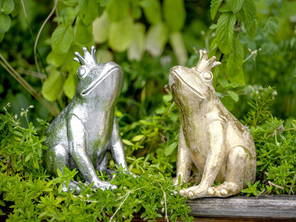 formano_2022_garten_froschko___enig_730800