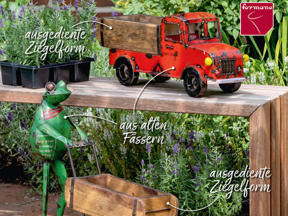 1_formano_2022_garten_upcycling_auto_und_frosch_mit_lade_616067_616043b
